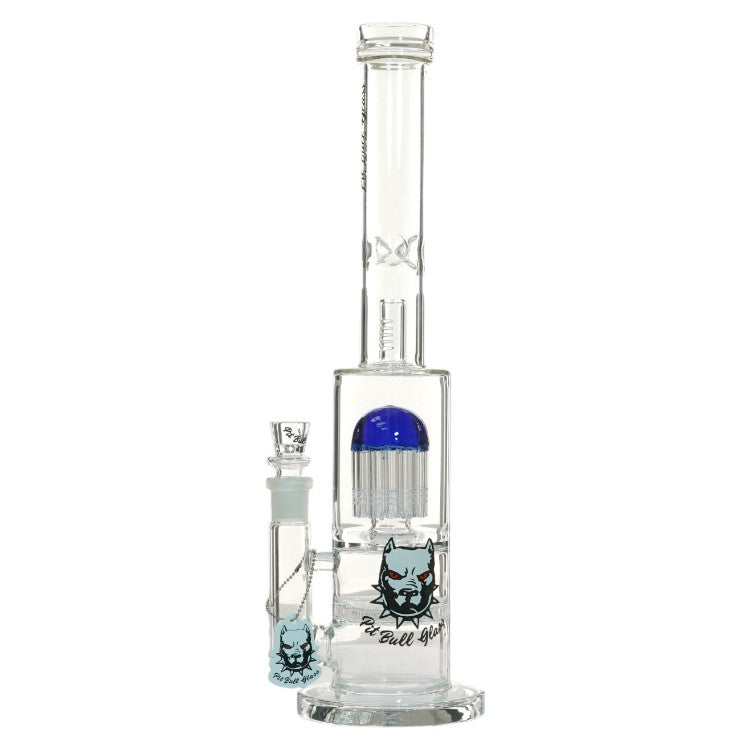 Pit Bull Glass Glass With Arms (8972) 15.0" Blue