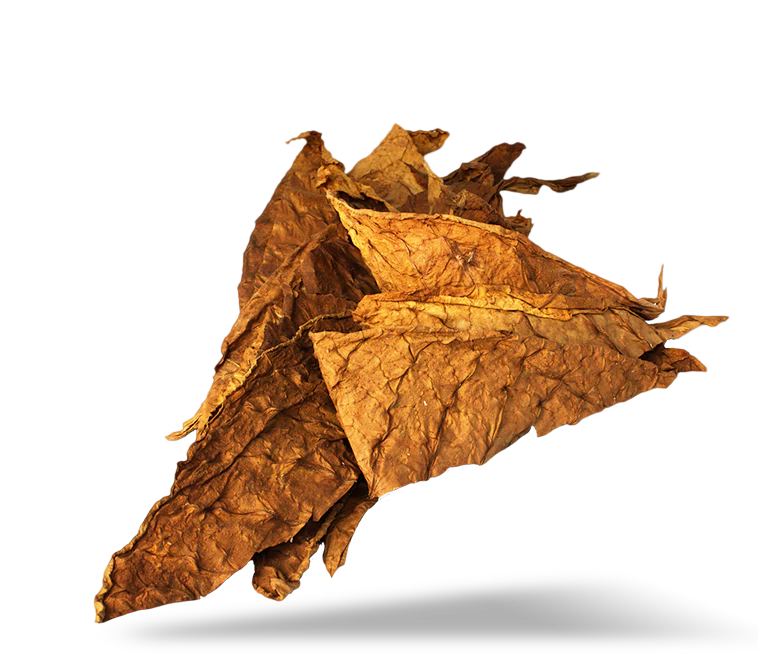 Tobacco Leaf