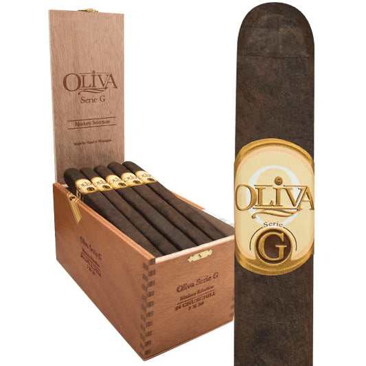 Oliva G Cameroon CHURCHILL