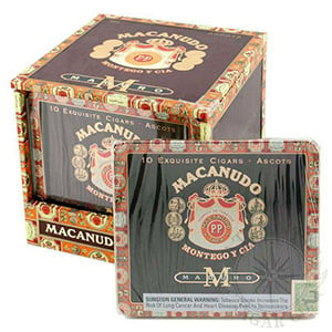 Macanudo Maduro ASCOT TINS