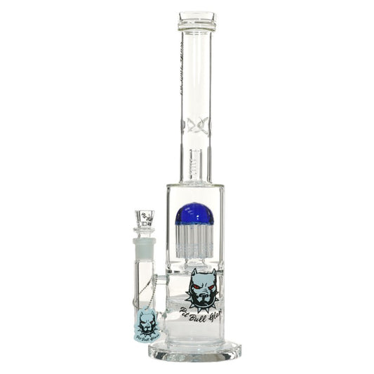 Pit Bull Glass Glass With Arms (8972) 15.0" Blue