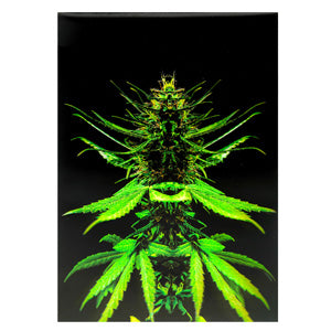 Unbranded Posters & Stickers 3D Image( 5.0" x 7.0") Ganjazilla