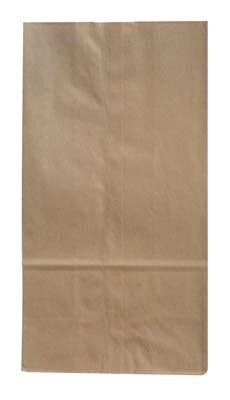 DAISY Home Improvement PAPER BAG 500 CT SIZE 4