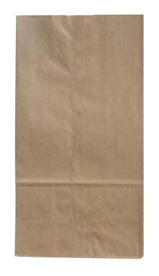 DAISY Home Improvement PAPER BAG 500 CT SIZE 2