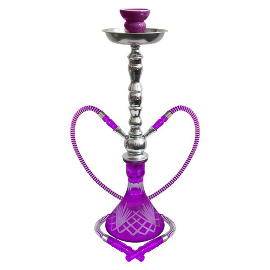 22" Zelda, 2 Hose, Premium Box Purple